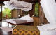 Haggerstone Island Resort - thumb 1