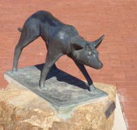 The Ardlethan Kelpie Caravan Park - Holiday Great Ocean Road