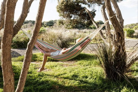 Anglesea Family Caravan Park - Holiday Great Ocean Road 1