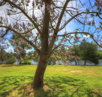 Breakaway Twin Rivers Caravan Park - Holiday Great Ocean Road