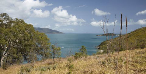 Molle Island National Park (Whitsundays National Park) Camping Ground - Holiday Great Ocean Road 1