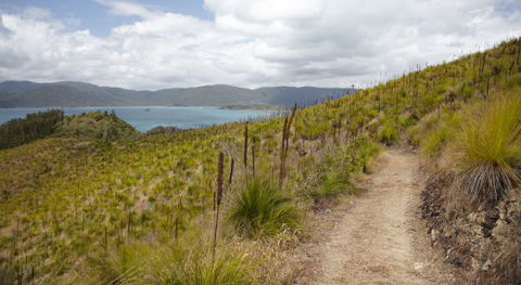 Molle Island National Park (Whitsundays National Park) Camping Ground - Holiday Great Ocean Road 2