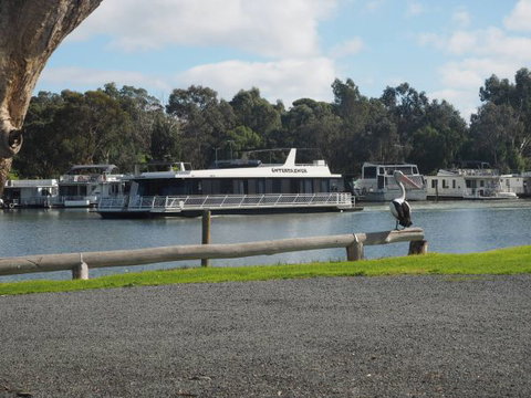 Murray Bridge Marina Camping And Caravan Park - Holiday Great Ocean Road 6