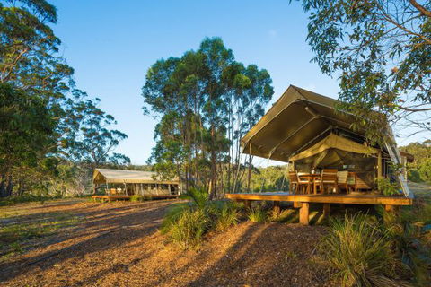 Tanja Lagoon Camp - Holiday Great Ocean Road 0