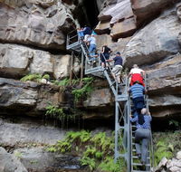 Takarakka Bush Resort Carnarvon Gorge - Holiday Great Ocean Road