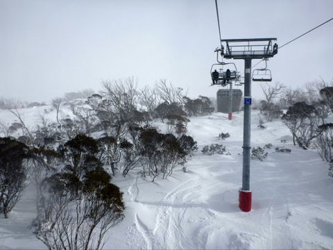 Angala Apartment - Holiday Great Ocean Road 8