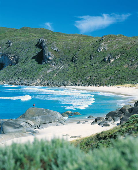 Banksia Camp At D'Entrecasteaux National Park - Holiday Great Ocean Road 0