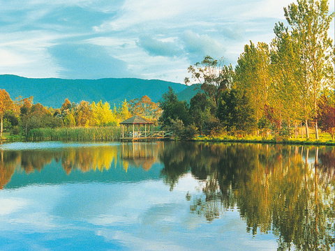 Kingbilli - Holiday Great Ocean Road 0