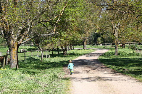 Kingbilli - Holiday Great Ocean Road 3