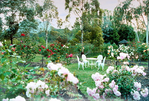 Kingbilli - Holiday Great Ocean Road 4