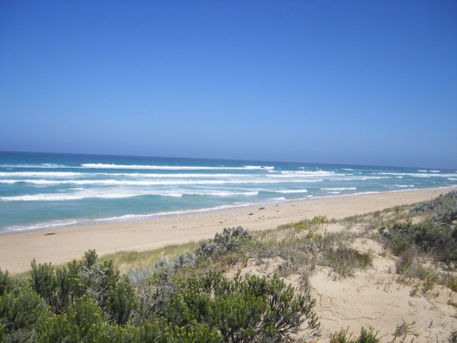 Canunda SA Holiday Great Ocean Road