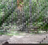 Six Mile Creek campground - Holiday Great Ocean Road