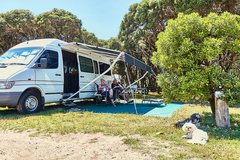 Anglesea Family Caravan Park - Holiday Great Ocean Road 2