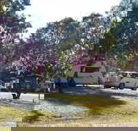 Eidsvold Caravan Park - Holiday Great Ocean Road