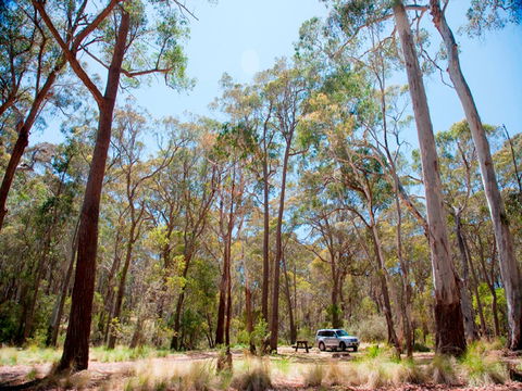 Coolah Tops National Park Camping - Holiday Great Ocean Road 0
