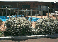 Tree Top Walk Motel - thumb 1