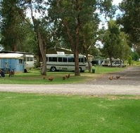 Harvey Rainbow Caravan Park