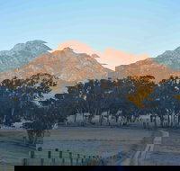 Barney Creek Vineyard Cottages - Holiday Great Ocean Road