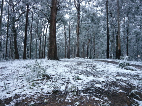 High Peaks Cottages - Holiday Great Ocean Road 0