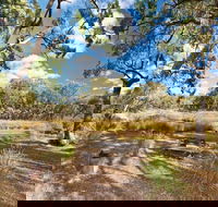 Kings Plains Creek campground - Holiday Great Ocean Road