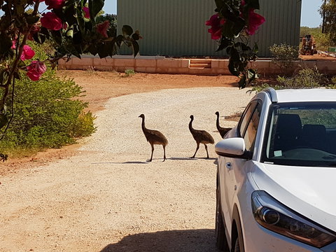 Ningaloo Bed And Breakfast - Holiday Great Ocean Road 1