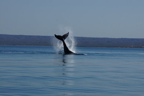 Ningaloo Bed And Breakfast - Holiday Great Ocean Road 2