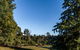 Tin Dragon Trail Cottages - thumb 0