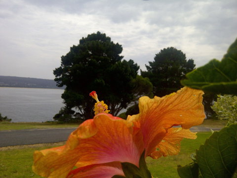 Eden Oceanview - Holiday Great Ocean Road 1