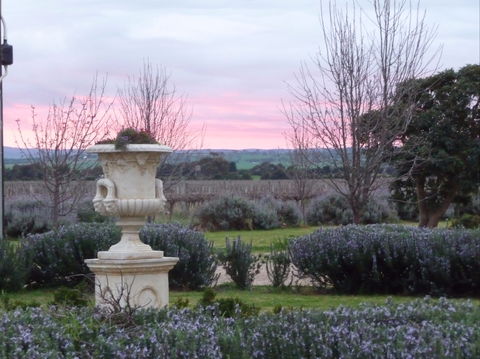 Angas Plains Wines Suites - Holiday Great Ocean Road 2