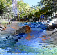 Big4 Aussie Outback Oasis Holiday Park - Holiday Great Ocean Road