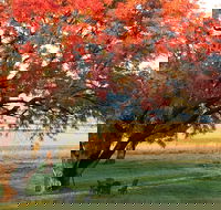 Little Kickabell Country Homestead - Holiday Great Ocean Road