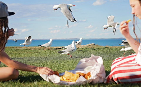Seafarers Robe - Holiday Great Ocean Road 0