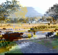 Tommerups Dairy Farmstay - Holiday Great Ocean Road