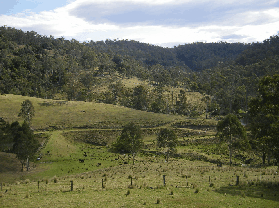 Yasuragi Cabins - Holiday Great Ocean Road