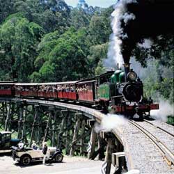 Yuulong Bed And Breakfast - Holiday Great Ocean Road 5