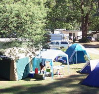 Black Spur Motel and Caravan Park - Holiday Great Ocean Road