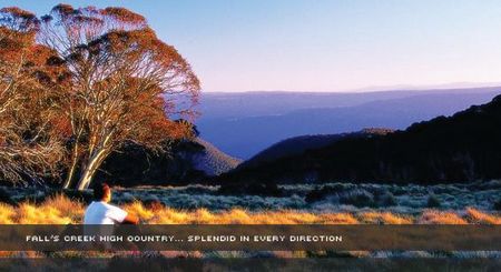 Alpine View Apartments - Holiday Great Ocean Road 1