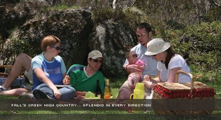 Alpine View Apartments - Holiday Great Ocean Road 2