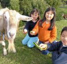 Johanna River Farm and Cottages - Holiday Great Ocean Road