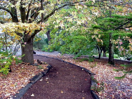 Brigadoon Cottages - Holiday Great Ocean Road 3