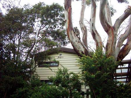 Beach Park Tourist Caravan Park - Holiday Great Ocean Road 3