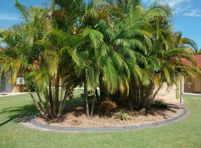 Yamba Motor Inn - Holiday Great Ocean Road 5