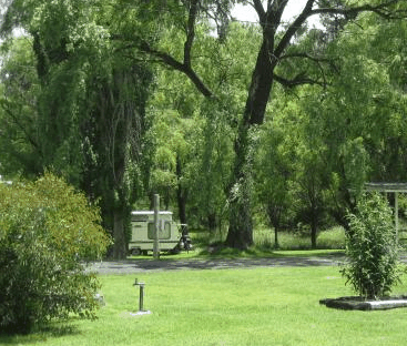 Uralla Caravan Park - thumb 2