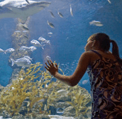 The Aquarium of Western Australia - Holiday Great Ocean Road