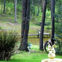 Gain Life Healing Health Retreat - Holiday Great Ocean Road 2