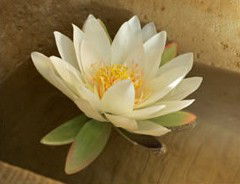 St Georges Natural Health Therapies - Holiday Great Ocean Road 3