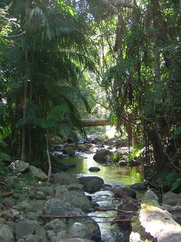 Thunderbird Park - Holiday Great Ocean Road 2