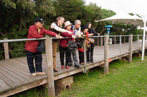 Phillip Island Penguin Parade - Holiday Great Ocean Road 1