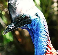 Alma Park Zoo - Holiday Great Ocean Road