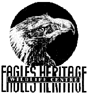 Eagles Heritage - Holiday Great Ocean Road 0